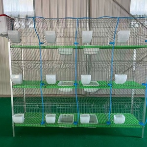 Cages à lapins de bonne qualité, galvanisées à chaud, à longue durée de vie, 12 positions, pour bébés lapins, à vendre - Product Image 3