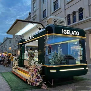 Carrito de Venta Móvil Eléctrico Comercial para Helados y Snacks, con Estructura de Acero Inoxidable y Vitrina Refrigerada, 110V/220V/380V - Product Image 1
