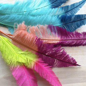 Plumas de Avestruz <span class=keywords><strong>Nandu</strong></span> Teñidas (25-60 cm) Lavadas y Esterilizadas para Decoración de Fiestas, Adornos para el Hogar/Bodas, Sombreros Florales y Accesorios de Sombrerería - Product Image 3