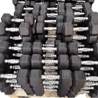 Ensemble d'haltères d'haltérophilie musculaire Offre Spéciale Équipement de fitness pour salle de sport à domicile