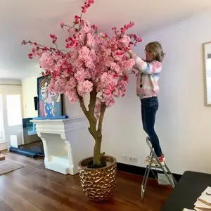 <span class=keywords><strong>Tik</strong></span> <span class=keywords><strong>Tok</strong></span> <span class=keywords><strong>YouTube</strong></span> Instagram Dernières tendances en matière de plantes en pot personnalisées, bonsaï, cerisier artificiel rose et blanc pour la décoration intérieure - Product Image 2