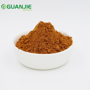 純粋なトリビュラス・テレストリス抽出物90％サポニン工場供給サポニンパウダー - Product Image 2