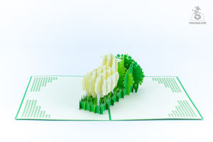 Vente en gros de décorations artisanales en papier animalier 3D pour événements-Kits de bricolage pour fêtes, écoles, festivals et cadeaux - Product Image 5