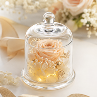 Cadeaux pour la Saint-Valentin 2027, rose éternelle réelle sous cloche en verre, fleurs d'amour éternelles, cadeaux pour la fête des mères avec lumière LED et boîte