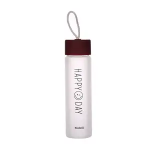 定制标志廉价促销礼品双酚a免费透明森林玻璃果汁瓶带盖便携式饮料瓶
