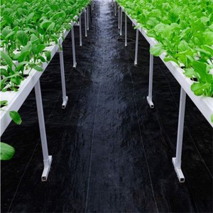 <span class=keywords><strong>Géotextile</strong></span> noir pour jardin, barrière anti-herbe et tissu de contrôle des adventices, tapis anti-UV pour parterres de fleurs - Product Image 3