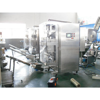 Machine automatique d'emballage et de scellage de Sachet de pâte de tomate de Ketchup de Mayonnaise liquide 5kg