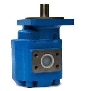 Pompe à engrenages hydraulique P3160 11C0007 Bleue Pièce de rechange OEM pour système hydraulique de chargeuse sur pneus - Product Image 5