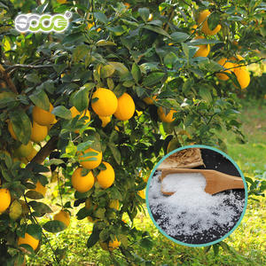 ポリマー製品である作物、果樹、野菜、園芸、芝生、森林の緑化用のカリウムポリアクリル酸塩を含むSAP肥料 - Product Image 6