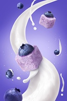 ZHONGBAO Top Grade Gedroogde Zoete Blauwe Bosbessen Groothandel Fruit & Groente Snack 30g Bulk Groothandel NIEUW