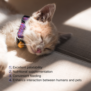 プロバイオティクスを使用したOEM高タンパク穀物フリードライキャットフード | チキン & サーモンフレーバー卸売 - Product Image 6