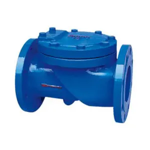 Flex Disc Check Valve