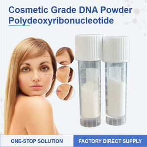 ผง DNA <span class=keywords><strong>แซลมอน</strong></span> PDRN เกรดเครื่องสำอาง บริสุทธิ์ 100% โซเดียม DNA โพลีไดออกซีริโบนิวคลีโอไทด์ เซรั่ม PDRN ผงดิบ ละลายน้ำได้ - Product Image 1