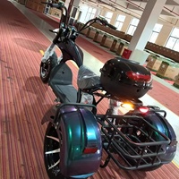 Scooter électrique à trois roues à pneus larges 60V 4000W, deux places, carrosserie ouverte avec coffre arrière et porte-bagages