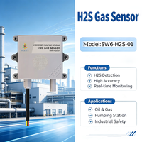 Capteur de sulfure d'hydrogène (H2S) SW6H2S01 haute sensibilité (0-100 ppm) avec transmetteur RS485 Modbus RTU IP65 pour la surveillance environnementale en usine