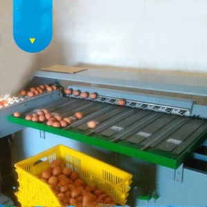 Machine automatique de tri des qualités d'œufs classificateur d'œufs en poids machine de sélection d'œufs en poids - Product Image 3