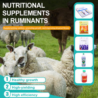 Supplément liquide de niacinamide et de complexe vitaminique B pour la production laitière des vaches laitières, la croissance des porcelets et la santé aviaire