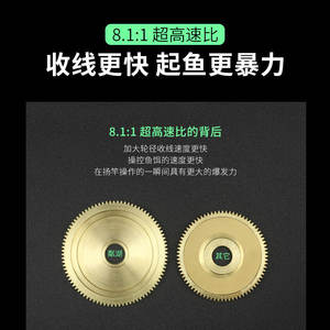 Moulinet de pêche à lancer 8.1:1 avec système de freinage magnétique, idéal pour la pêche en mer et sur la plage, pour droitiers - Product Image 5