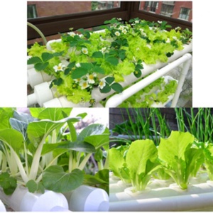 Système hydroponique NFT de haute qualité pour jardin intérieur - Product Image 5