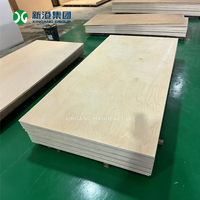 Contrachapado de Abedul Estructural de Alta Resistencia, Tablero de Madera Impermeable con Pegamento WBP para Uso Industrial