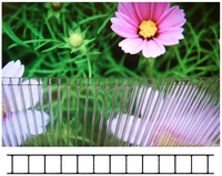 Serre en tôle PC creuse avec cadre métallique et double couverture en polycarbonate pour une meilleure conservation de la chaleur