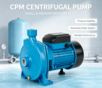 Pompe centrifuge de surface à économie d'énergie 220V monophasée, pompe à eau électrique pour surpression domestique et arrosage de jardin