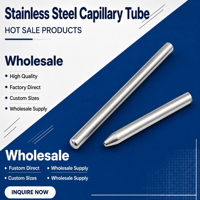 Tube capillaire en acier inoxydable 304, tube sans soudure, options de dessin de précision pour composants de capteurs et sondes
