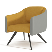 Fauteuils de salon au design moderne, en bois et métal, avec accoudoirs, pour les visiteurs VIP, les salles d'attente, les bureaux et les espaces publics