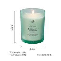 Bougie d'aromathérapie biologique végane en cire de soja écologique, huile essentielle, spa, yoga, relaxation, méditation, givrée, pour les fêtes de Noël