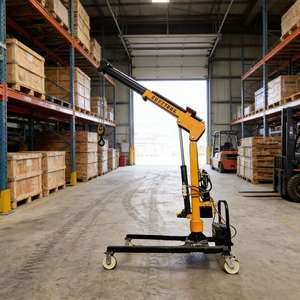 Электрический кран-манипулятор на 1 тонну с телескопической стрелой, мини-электрический кран - Product Image 6