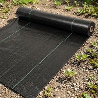 Toile de paillage anti-mauvaises herbes en tissu non tissé pour l'agriculture, film plastique noir en PP tissé pour le contrôle des adventices