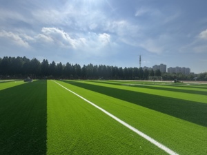 टर्फ के लिए उच्च घनत्व पर्यावरण के अनुकूल एपडीम इंफिल अच्छा शॉक अवशोषण का उपयोग करता है - Product Image 3