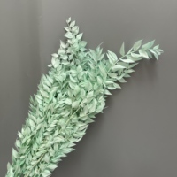 Fleurs de Ruscus séchées et conservées les plus populaires, feuilles naturelles blanchies pour la décoration de la maison/du bureau, événements - Saint-Valentin, remise de diplôme