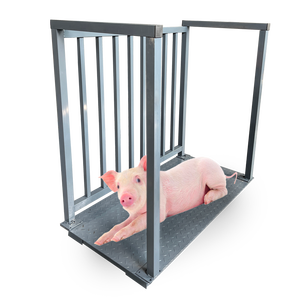 उच्च गुणवत्ता 0.5 टी-3 टी पशु भार के लिए पशु सूअर भेड़ ओम और गंध समर्थित - Product Image 1