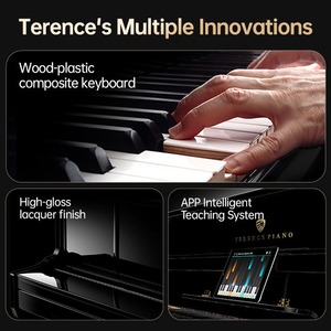 Piano numérique TERENCE AIP-913, 88 touches, action marteau, piano droit lesté avec touches de piano standard - Product Image 3