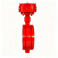 Vanne papillon rainurée DN65-DN300 PN16 en fonte ductile à commande par vis sans fin pour système d'alimentation en eau de protection incendie