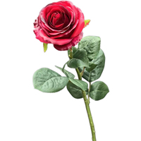 Rose artificielle équatorienne en gros, tige longue de 70 cm, tête de fleur de 10 cm, toucher réel, pour décoration de mariage, maison, hôtel