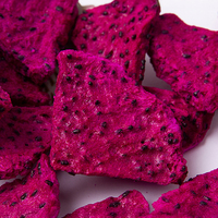 Levendig roze, antioxidantrijk poeder van diepvriesgedroogde drakenfruit voor gezondheidsdranken en voedsel in sociale media.