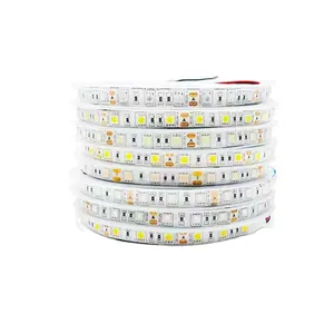 공장 사용자 정의 재고 제품 Dc12V Led 스트립 라이트 60leds/M 10mm smd 5050 RGB 스트립 라이트