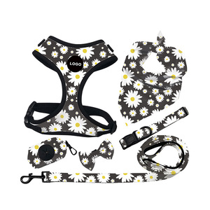 Set Harnesses Anjing Kucing Mewah Custom 2025, Dapat Disesuaikan, Bernapas, Tali & Kalung Hewan Peliharaan, Cetak Label Pribadi, Harnesses Hewan Peliharaan Modis - Product Image 3
