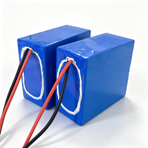 แบตเตอรี่ลิเธียมไอออนแบบชาร์จได้ รุ่นสั่งทำพิเศษ 11.1V 12v 14.8V 24v 25.9V 29.6V 36v 48v 10ah 20ah 30ah 60ah 100ah Li-ion Lifepo4 - Product Image 6