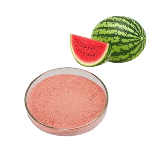 wholesale dried watermelon powder watermelon extract