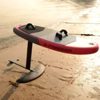 FREESEA New Design Tragflügel boot Kite Board für Damen Infla table Wing Surf Folien brett zum Surfen