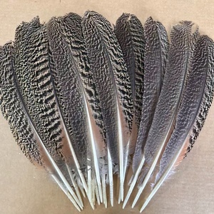 Plumas de Pavo Real Naturales con Rayas Marrones de 10-12\"/12-14\" al por Mayor para Decoración - Product Image 1