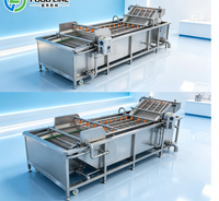 Industriële groentebellenwasmachine voor het reinigen van fruit en groenten