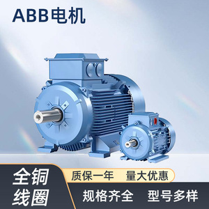 มอเตอร์ไฟฟ้ากระแสสลับ Abb รุ่น M2bax ซีรีส์ 11 กิโลวัตต์ 15 กิโลวัตต์ ขดลวดทองแดงทั้งหมด สำหรับอุปกรณ์เครื่องจักรกล - Product Image 5