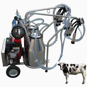 Pièces de rechange professionnelles pour pompe à vide agricole monophasée 110/220V 0,55 kW - Product Image 5