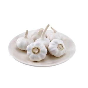 กระเทียมขาวบริสุทธิ์ผลิตภัณฑ์ทางการเกษตร - Product Image 3