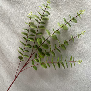 Flores Queyiyi, Hoja de Dinero Impresa en 3D, Planta Artificial Verde de 30cm-100cm, Decoración de Bodas, Arreglo para Sala de Estar - Product Image 1