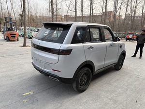 Véhicules <span class=keywords><strong>électrique</strong></span>s de haute qualité, puissants mais bon marché, à conduite à droite ou à gauche pour adultes - Product Image 3